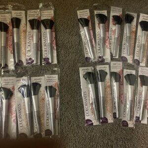 Colormates Makeup Brush Set